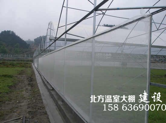 添加防虫网的蔬菜温室