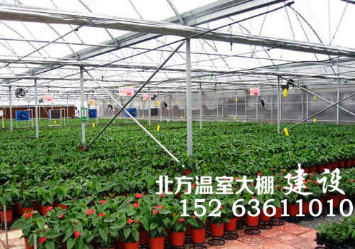 智能温室花卉培育