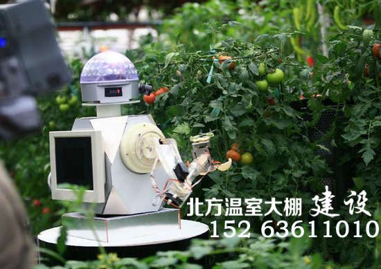 智能温室采摘机器人