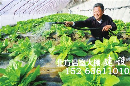 银浪牧场一农民正在自家的温室蔬菜大棚浇水
