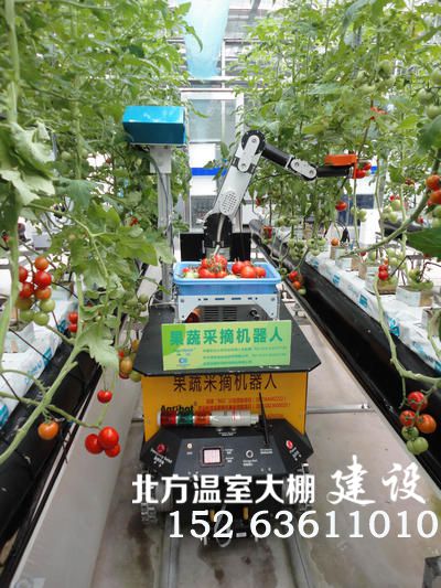 中国农业大学蔬菜采摘机器人