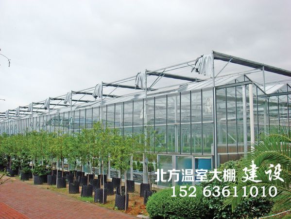现代蔬菜生产温室大棚