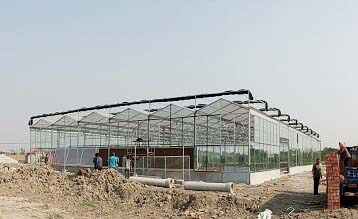 天津现代连栋生态玻璃温室大棚