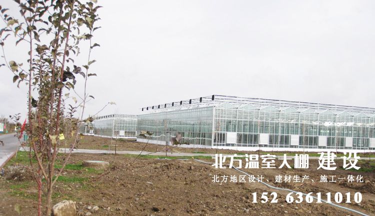 新疆昌吉国家级农业园区的新型温室大棚