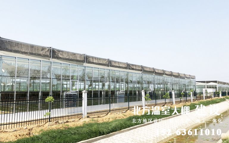 江苏连云港农业科技园区的温室大棚