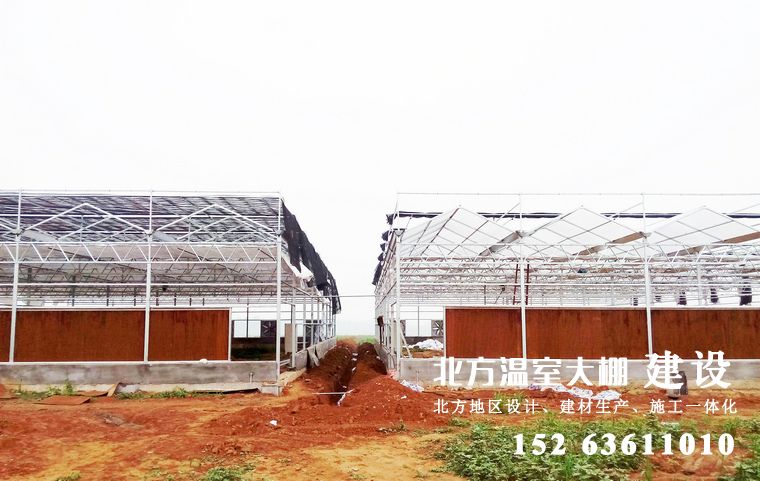 新型阳光板温室大棚框架施工建设完成