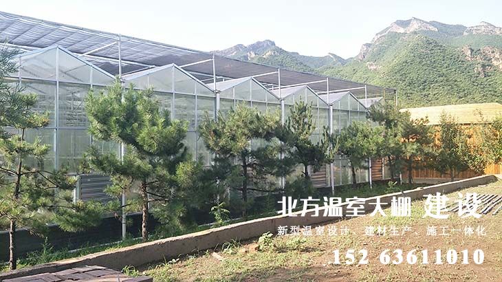 新型-连栋玻璃智能栽培温室（铁皮石斛种植）