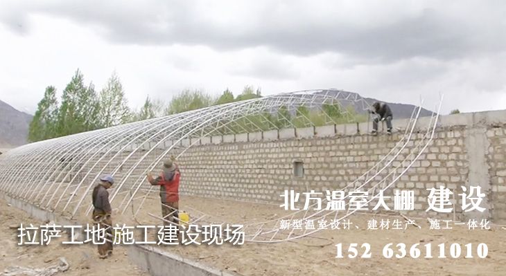 西藏日光温室施工建设现场